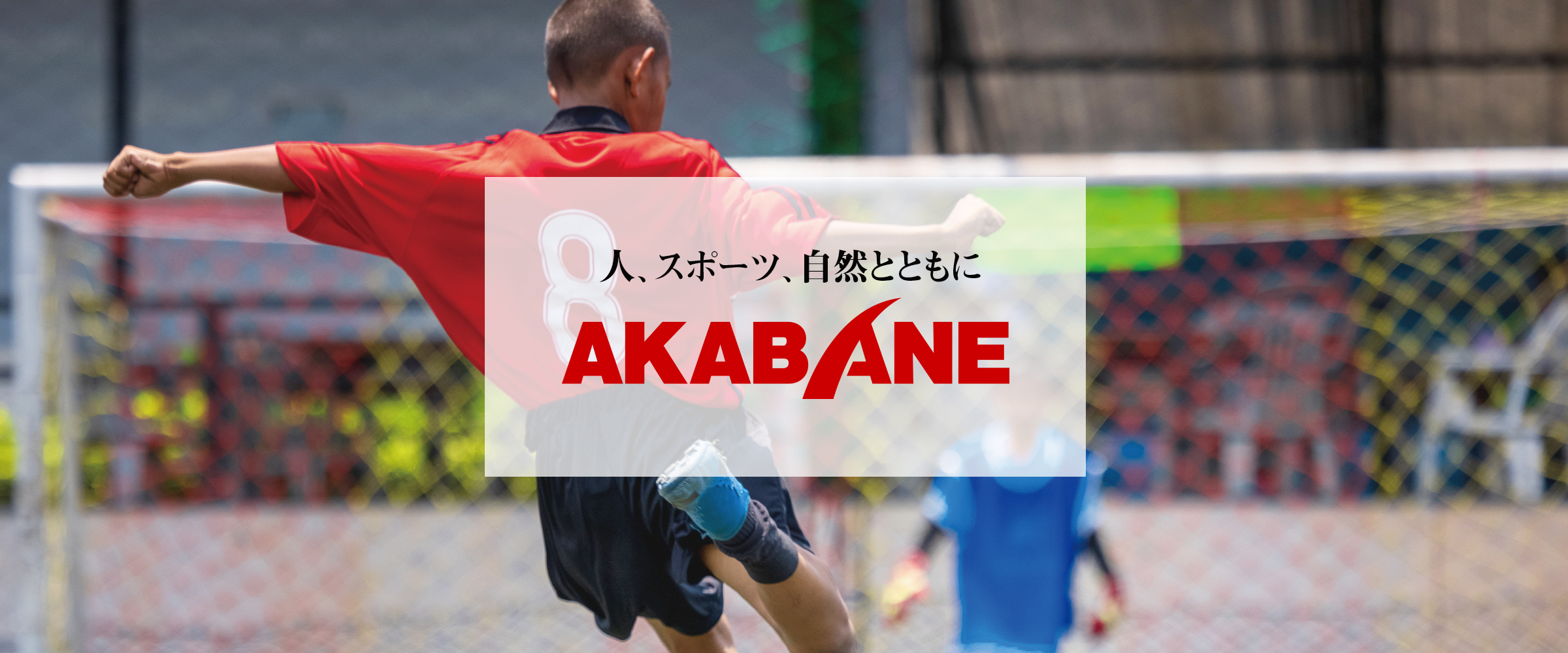 株式会社アカバネ/ホーム (送料無料)(個人宅配送不可)AKABANE アカバネ テニス ソフトテニスネット 公認 B-171